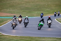 Evening Low_Mid Group Green Bikes